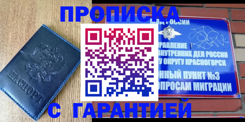 регистрация в Петропавловске-Камчатском